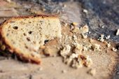 14 bin yıl öncesine ait ekmek tarifi bulundu