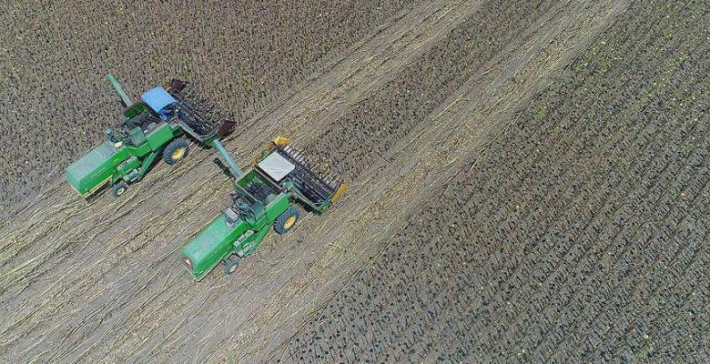 Türk Eximbank’tan tarımsal ürün ihracatçılarına ilave kredi desteği.