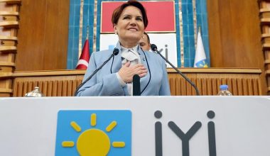 ‘Cumhurbaşkanı kendini eleştirenlerin de Cumhurbaşkanıdır’.