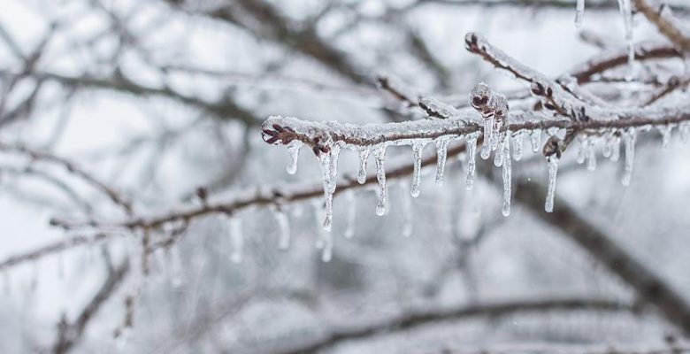 Meteorolojiden 4 il için buzlanma ve don uyarısı.