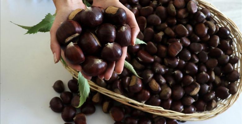 Türkiye’den 32 ülkeye kestane ihracatı.