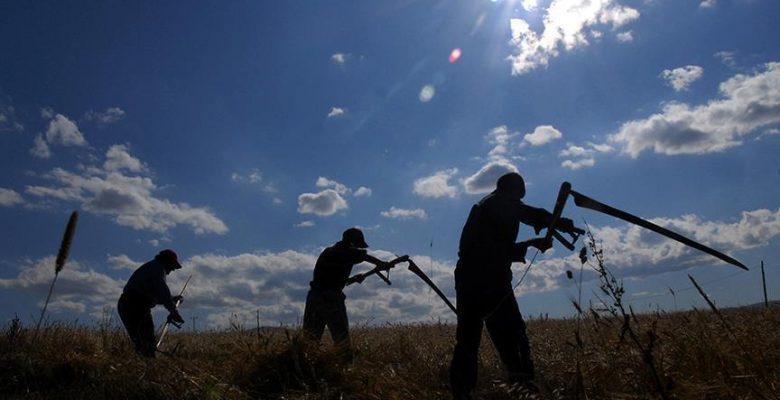 TARSİM 1,1 milyar lirayı aşkın hasar ödedi.