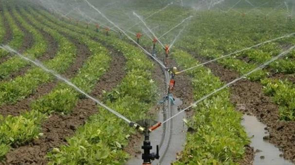 Şubat ayı tarım ÜFE verileri açıklandı.