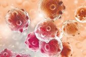 Kanserli hücreleri kandırarak, tümörleri öldürebilen ‘yem’ molekülleri yaratıldı.