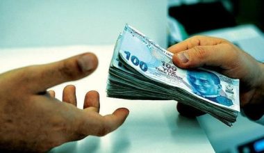 Son dakika: ‘Tarım Sigortaları Havuzu’nda destek oranları belli oldu.