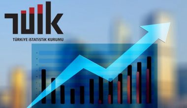 TÜİK bu yıl 93 konuda istatistik üretecek.