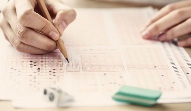 ALES sonuçları sorgulama ekranı! ALES geçerlilik süresi ne kadar? ALES puanı ne işe yarar?.