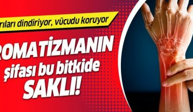 Romatizmanın umudu ısırgan otu! İşte romatizmanın zararını azaltan bitkiler….